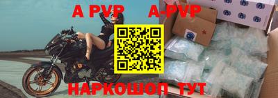 прущие грибы Шахты