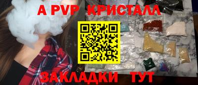 прущие грибы Шахты