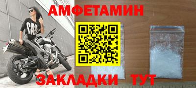 прущие грибы Шахты